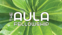 The Aula Fellowship